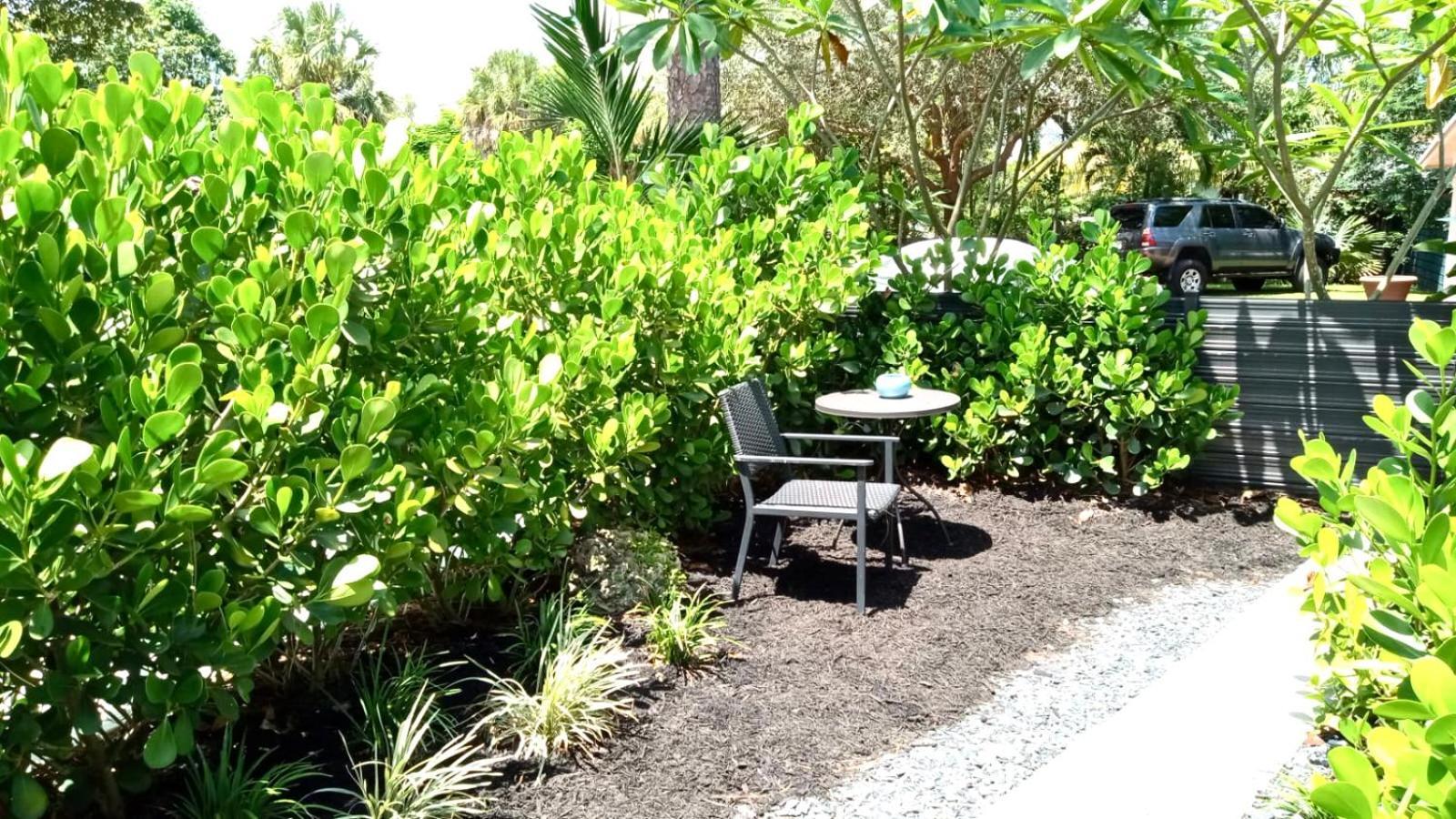 The Agustin Guesthouse - Men Only Clothing Optional Fort Lauderdale Exterior photo